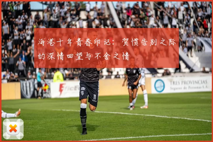 海港十年青春印记：贺惯告别之际的深情回望与不舍之情